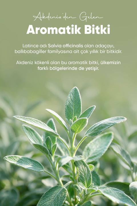 Arifoğlu Ada Çayı 60gr - Arifoğlu Online