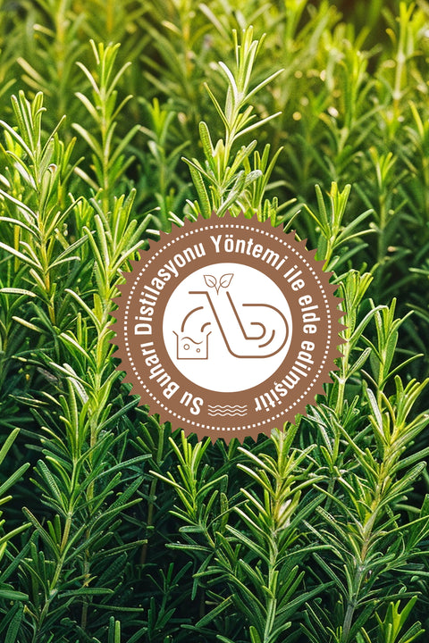 Arifoğlu Biberiye Yağı 20ml %Saf ve Doğal Rosemary - Arifoğlu Online