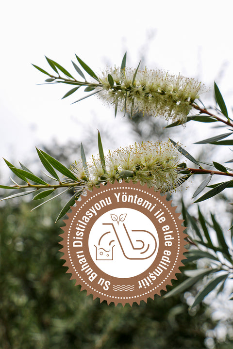 Arifoğlu Çay Ağacı Yağı 10ml %100 Saf ve Doğal Tea Tree - Arifoğlu Online