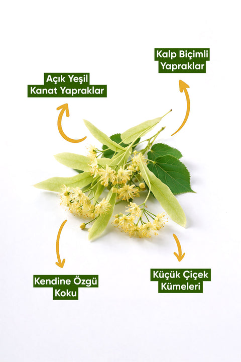 Arifoğlu Ihlamur 40 gr - Arifoğlu Online