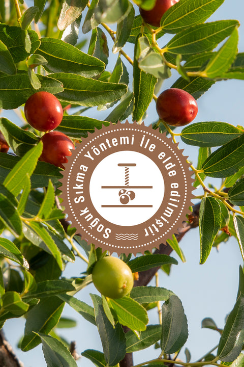 Arifoğlu Jojoba Yağı 100% Saf ve Doğal 20 ml - Arifoğlu Online