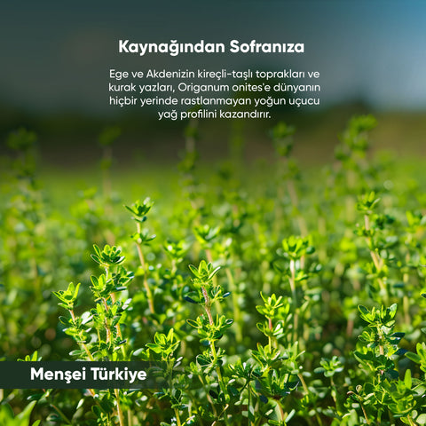 Kekik 30 gr. - Arifoğlu Online
