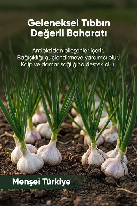 Sarımsak Toz 100 gr. - Arifoğlu Online